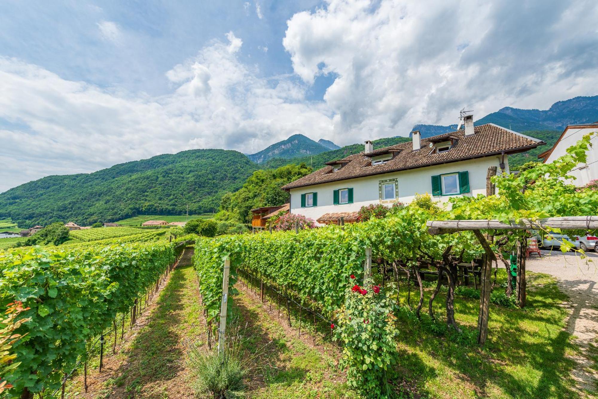 Weinhof Am See Caldaro Bagian luar foto